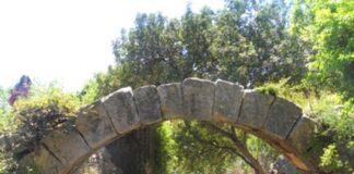 Yıkıntılar İçinden Dirileceğiz!*