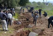 An unfolding genocide against Alawis in Syria: Urgent need for international action