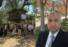 Mehmet Horuş ile Zeytin, Toprak ve Direniş Üzerine: Coğrafyaların Ortak Sesi