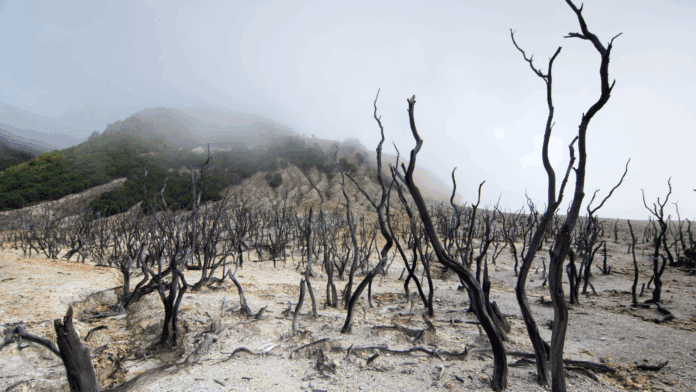Natural Disasters Presentation in Colorful Photographic Style