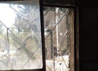 The Struggles of an Alawite Family: A Personal Reflection on the Impact of War and Governance