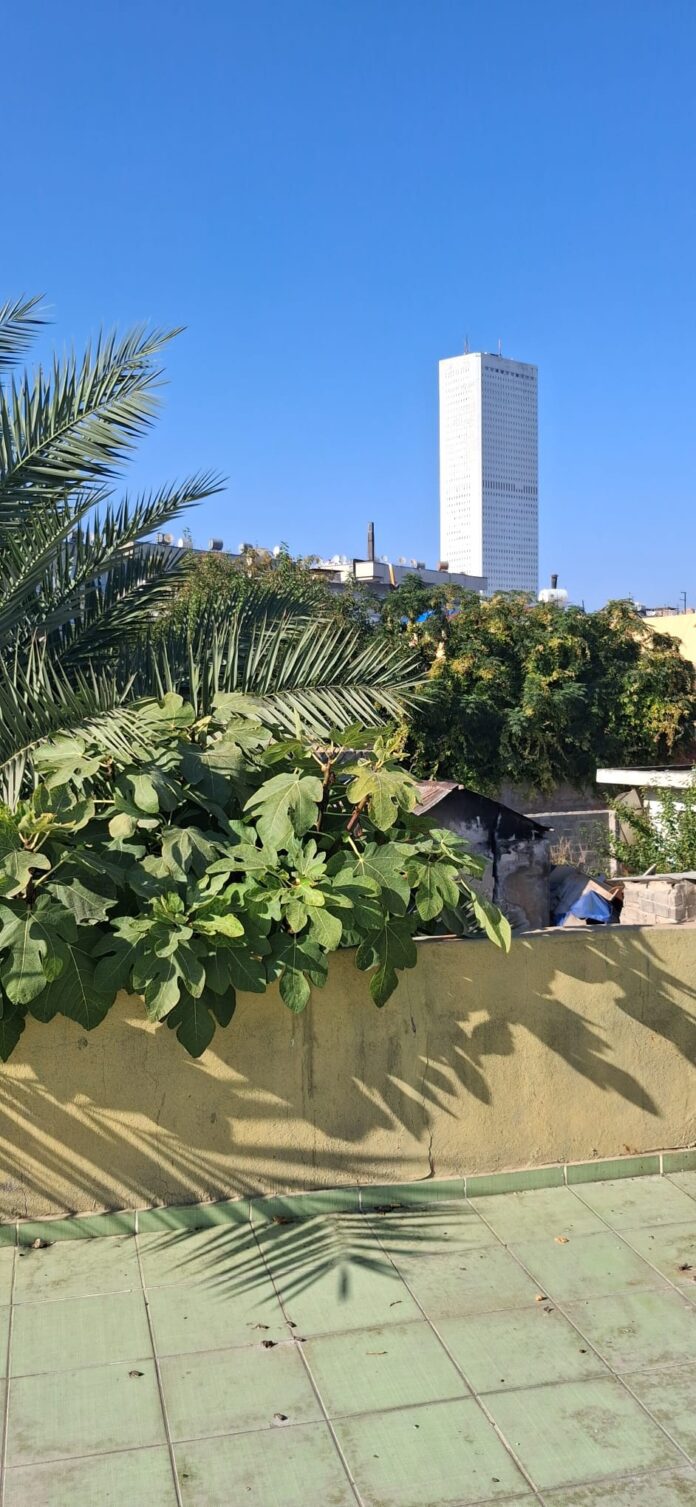 WhatsApp Image 2025-09-17 at 16.22.21