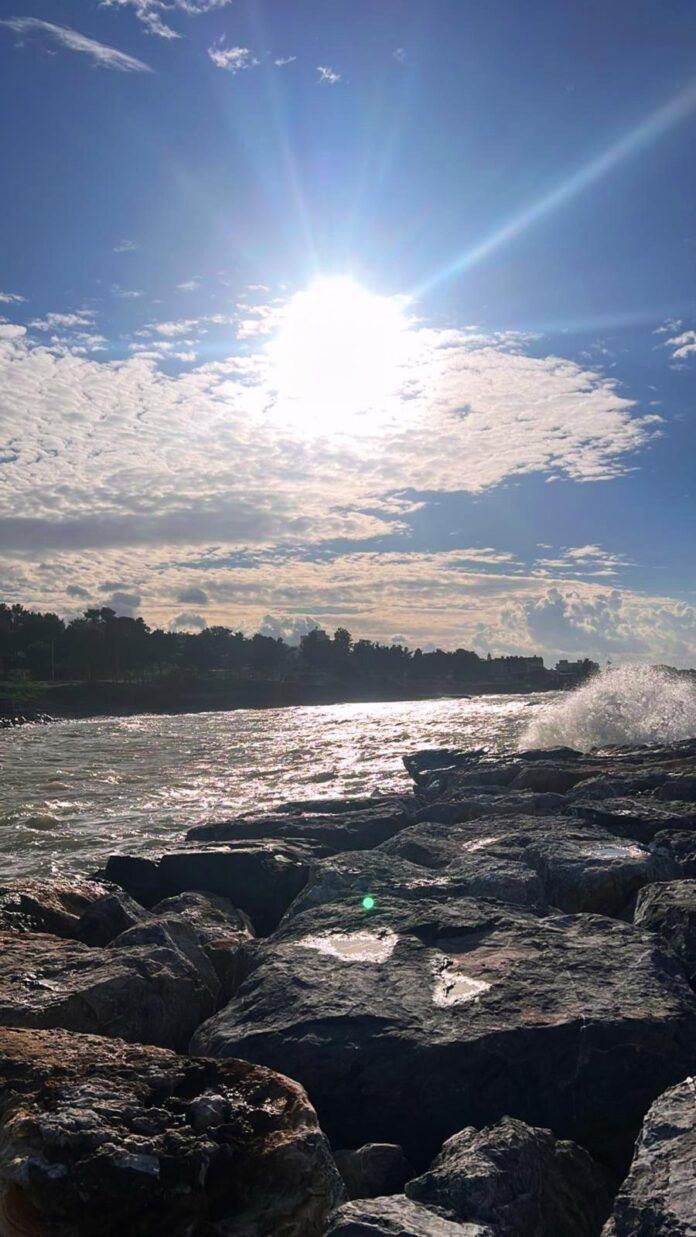 WhatsApp Image 2026-02-12 at 09.27.29